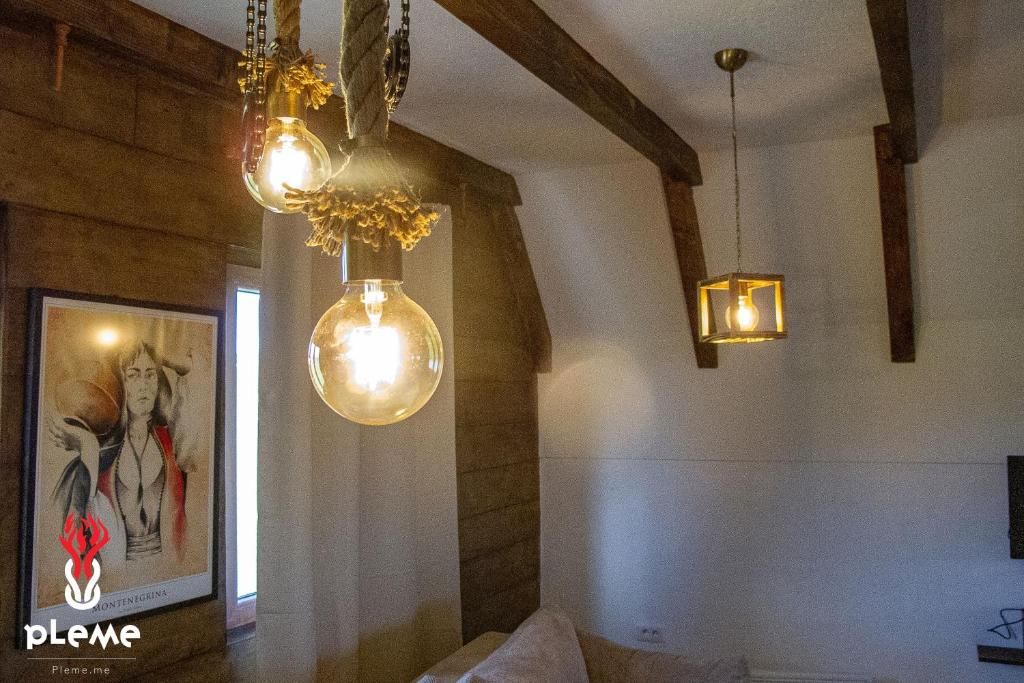 Шале Family Houses Pleme Жабляк-60