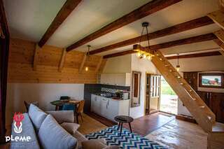 Шале Family Houses Pleme Жабляк Шале с двумя спальнями-5