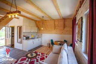 Шале Family Houses Pleme Жабляк Шале с двумя спальнями-8