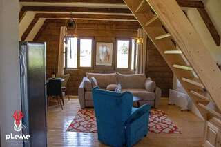 Шале Family Houses Pleme Жабляк Шале с двумя спальнями-19