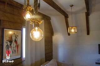 Шале Family Houses Pleme Жабляк Шале с двумя спальнями-21