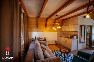 Шале Family Houses Pleme Жабляк Шале с двумя спальнями-4