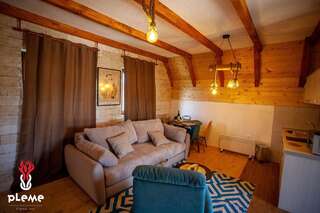 Шале Family Houses Pleme Жабляк Шале с двумя спальнями-5