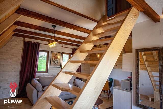 Шале Family Houses Pleme Жабляк-14